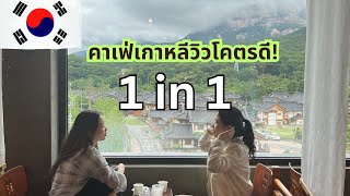 นั่งรถเมล์ครั้งแรกไปคาเฟ่ 1in1jan วิวโคตรสวย ขากลับหลงทาง