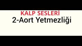 KALP SESLERİ