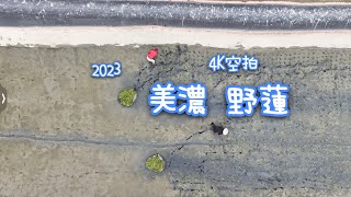 美濃野蓮 種植（4K空拍）