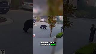 Seven Year Old Confronts Black Bear riding a scooter