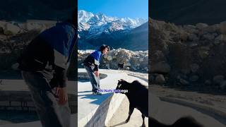 केदारनाथ का काला सच 😫 #minivlog #kedarnath #challenges #shorts