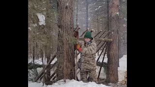 Building Primitive Shelter In Winter Forest, Outdoor Cooking, Survival Skills, Nodya Campfire