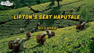 Lipton's Seat Haputale | Sri Lanka | Grip2Mind VLOG 39