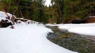 Stroom in het Bos - Geluid van Aard - Geluid van Water - Helende Rivier -Stroom Natuur-Natuur Rivier