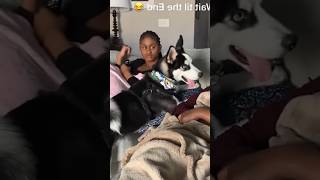 Part 726 _ Funny animals videos from TikTok! Try not to laugh! 😹🐶🤣🔥🤣