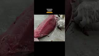 CRAZY SKILLS bluefin tuna fish cutting from Aceh Indonesia