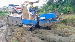 Terjebak Lumpur COMBI ISEKI Mesin Panen Padi #315