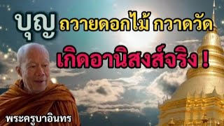 บุญถวายดอกไม้ กวาดวัด เกิดอานิสงส์จริง ! | พระครูบาอินทร | ทาน ศีล ภาวนา