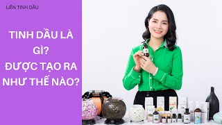 Tinh dầu là gì? Được tạo ra như thế nào?