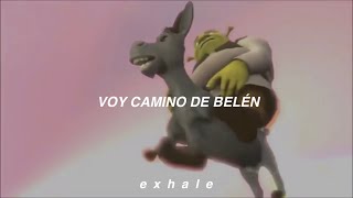 Burrito Sabanero Remix - Shrek