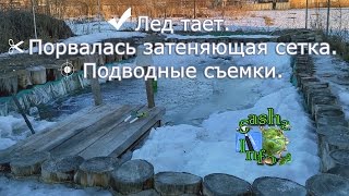 Отчет о копанке . Порвалась затеняющая сетка . Подводные съемки . Искусственный пруд своими руками