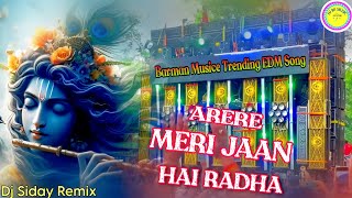 Are Re Meri Jaan Hai Radha Viral Song | Dj Sarzen + Barman Music Spesal Edm Song | Dj Siday Remix