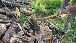 White oak Cooking splits! Using the big Mueller Axe to make some cooking splits for the fall.