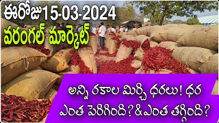 March 15, 2024 వరంగల్ మార్కెట్ ధరలు ||Warangal Market All వెరైటీ mirchi rates #cotton rate