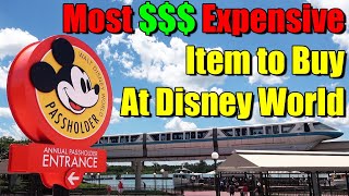 Most Expensive Item To Buy at Walt Disney World