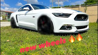 Ford mustang gt get new wheels 🔥🔥