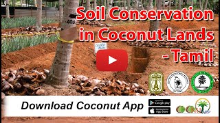 Soil Conservation in Coconut Lands - TAMIL