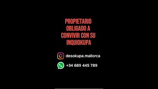 Propietario obligado a convivir con su inquiokupa #desokupa #noticias #españa