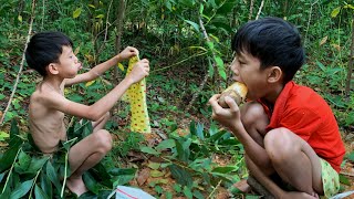 abandoned boy | Episode 13: go find cassava to eat, and wash clothes in a way that saves water