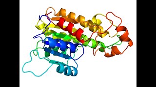 STEP BY STEP GUIDE HOW TO DO HOMOLOGY MODELING USING SWISS MODEL