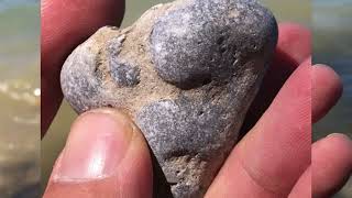 Finding Petoskey stones at West Park - Bay Shore, Michigan