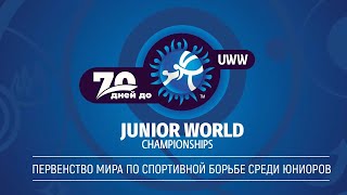 70 дней до начала Первенства мира по спортивной борьбе в Уфе