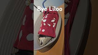 bye Liloo #wilmiltv #shortvideo