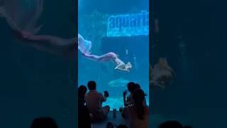 Mermaid at Aquaria Phuket Thailand! #shorts #mermaid #show #phuket #thailand #ytshorts