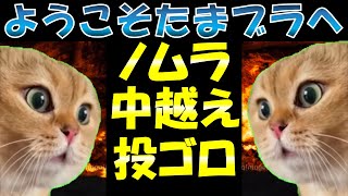 【猫ミーム】ノムラもたまブラ...センターオーバーピッチャーゴロ...