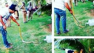 Cobra Snake Caught In Society Garden | Pune