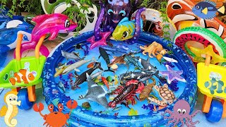 SEA ANIMALS FOR TODDLERS