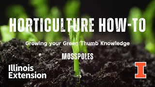 Horticulture How-To - How to Use a Moss Pole