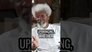 Wole Soyinka: The Biafra War Was A Stupid Enterprise