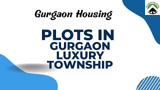 GURGAON LUXURY PLOT| NAVRATRI OFFER SPECIAL| CALL-7015525868#dwarkaexpresswayproperties #bptp