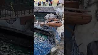 Sea Lion's Rock show 🇨🇦 #sealions #shorts