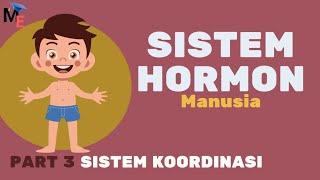 Sistem Hormon Pada Manusia | Sistem Koordinasi Part 3 - Biologi