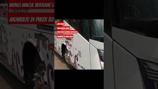 mutiara exspres #shorttrending #vlog #shortvideo #trending #suka #viral #bus akap@Mbcbus934