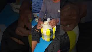 mancing di rumpon tuna - inilah hasilnya