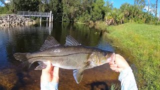 Bicycle Fishing for Freshwater Snook & Tarpon