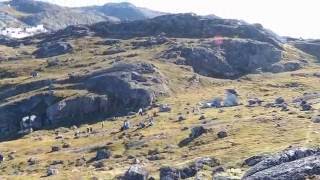 Qaqortoq Greenland View from Hilltop