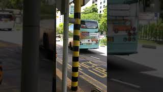 Isuzu LT134P (PA6458D) departing Sembawang MRT Station