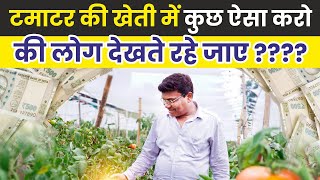 😱ऑफ सीजन टमाटर 🍅की खेती में कमाया लाखो 💸 का 🤑💰प्रॉफिट  Growit