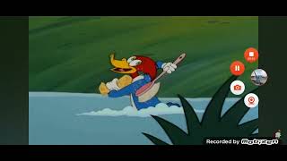 Woody Woodpecker Singing