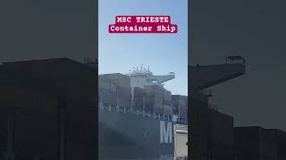 MSC TRIESTE | Container Ship | Spotted Antwerp Belgium 🛟⚓️ #ofw #marinoph #subscribe