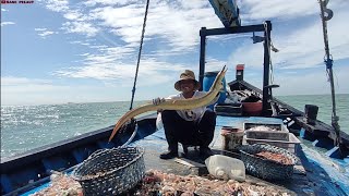 dapat ikan Moa malong kuning. udang dan banyak sekali teripang nya