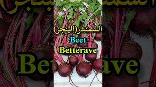 أهم الفوائد الصحية للبنجر(الشمندر/الباربا/البيطراڤ)Beet benefits/Bienfaits de la betterave#shorts