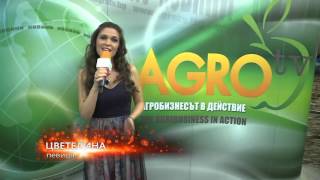 Коледен поздрав от Цветелина и Agro TV, 2015