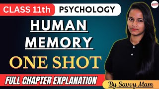 Class 11 Psychology Chapter 6 Human Memory Complete Chapter Explanation by Savvy Mam