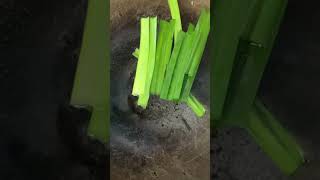 Healthy drink #cooking #drink #homemade #viral #tiktok #shorts