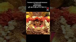 #thiruchanur  Sri Padmavathi Ammavaru Thepotsavam #திருச்சானூர் ஸ்ரீ பத்மாவதி தாயார் தெப்பம்.